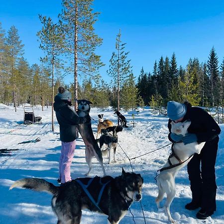 Saeterasen Hytter & Camping Трисиль Экстерьер фото