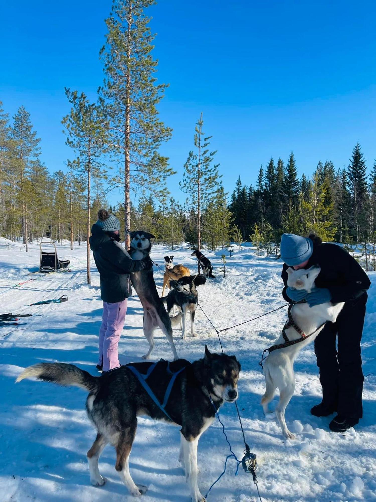 Saeterasen Hytter & Camping Трисиль Экстерьер фото
