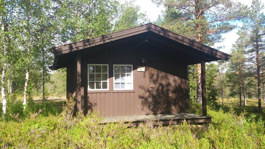 Saeterasen Hytter & Camping Трисиль Экстерьер фото