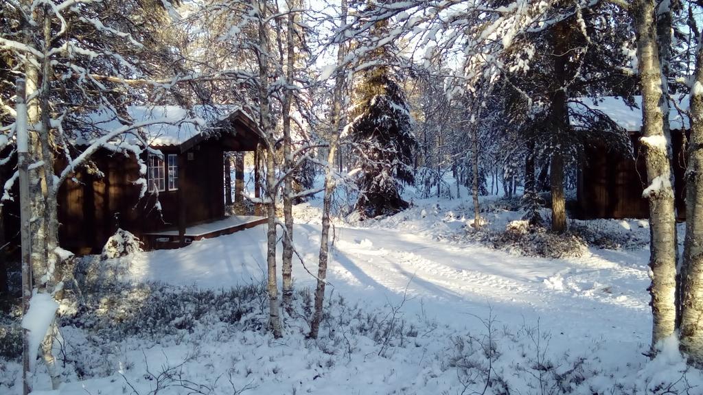 Saeterasen Hytter & Camping Трисиль Экстерьер фото