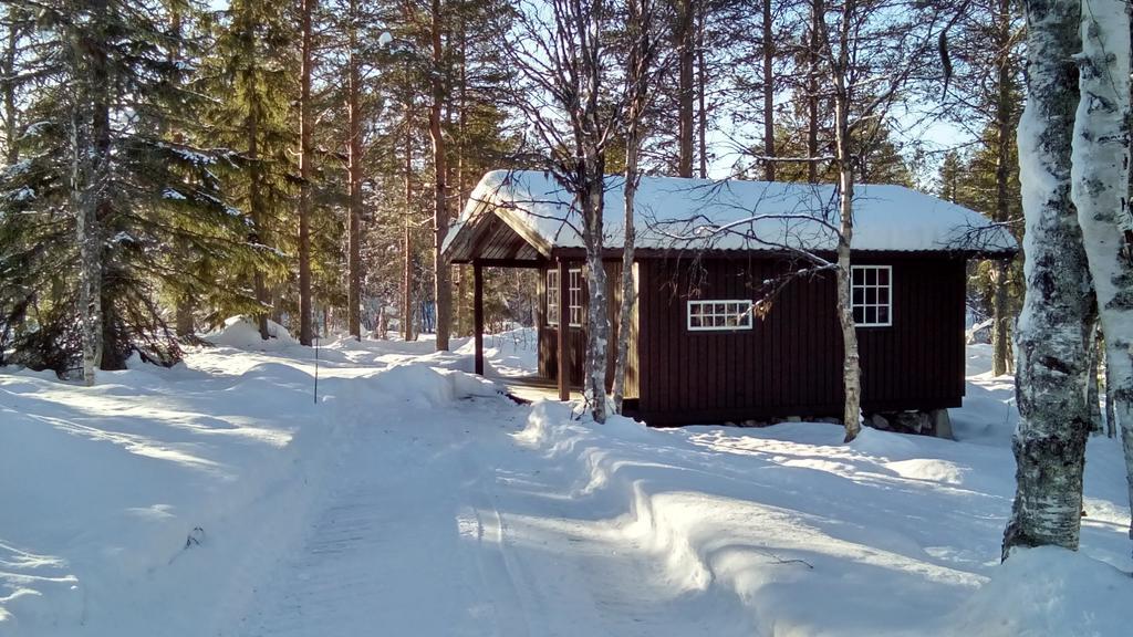 Saeterasen Hytter & Camping Трисиль Экстерьер фото