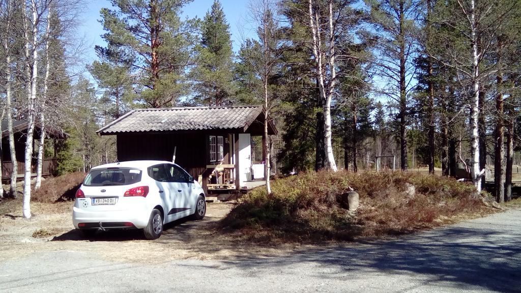 Saeterasen Hytter & Camping Трисиль Экстерьер фото