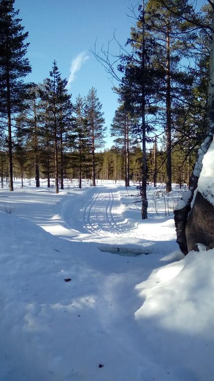 Saeterasen Hytter & Camping Трисиль Экстерьер фото