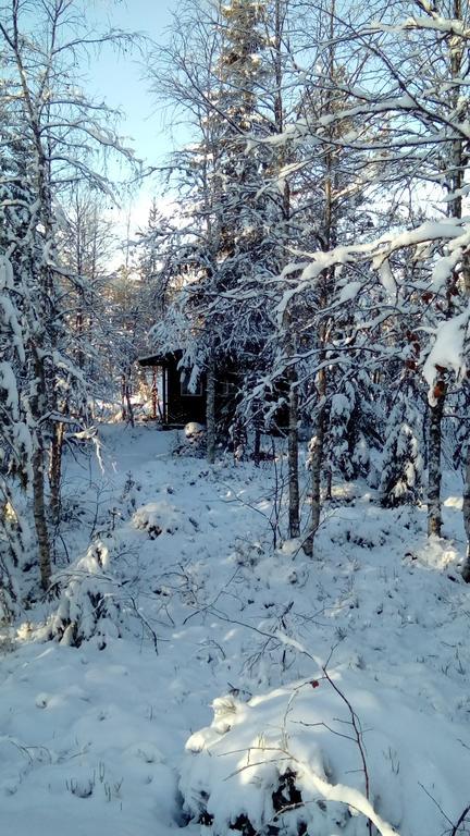 Saeterasen Hytter & Camping Трисиль Экстерьер фото
